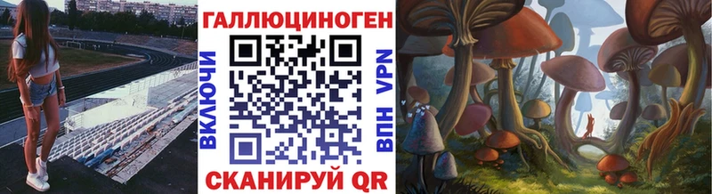 hydra как зайти  где найти   Вятские Поляны  Псилоцибиновые грибы мицелий 